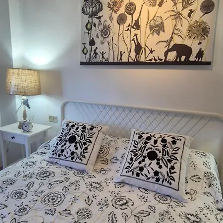 Apartment Cruz Centro